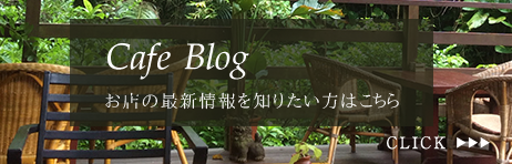 Cafe Blog